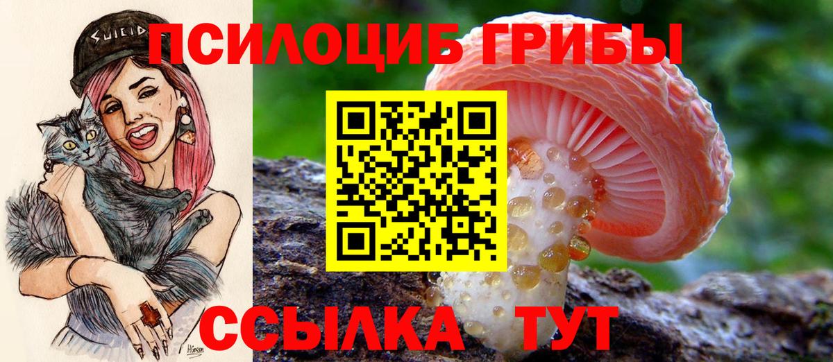 Галлюциногенные грибы GOLDEN TEACHER  Вход с VPN  Псилоцибиновые грибы ЛСД  Добрянка 