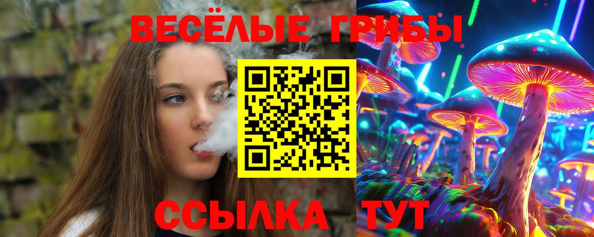 Галлюциногенные грибы Psilocybe Добрянка